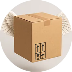 3. Trimitem pachetul