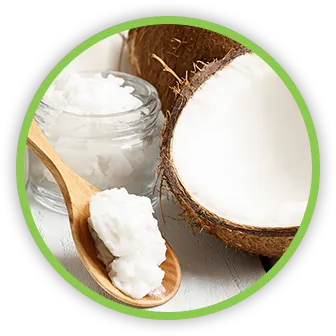 Pulbere de ulei de nucă de cocos